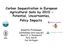 Potential measures and quantitative estimation of carbon