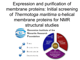 Expression and purification of membrane proteins: Initial