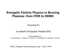 Energetic Particle Physics in Burning Plasmas: from ITER