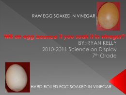 Will an egg bounce if you soak it in vinegar?