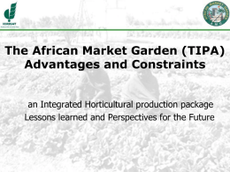 The African Market Garden