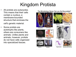 Kingdom Protista - Dr. Annette M. Parrott