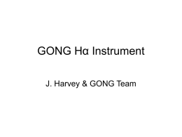 GONG Hα Instrument