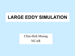 Large eddy simulation (LES)