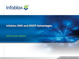 The Microsoft DNS Server