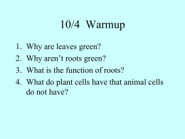 CELL PARTS Chapter 4 - Ms. Chambers' Biology