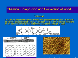 Chemical Composition and Conversion