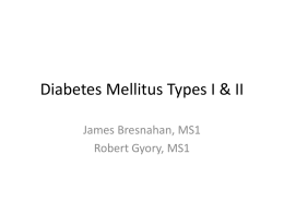 Diabetes Mellitus Type II – An Overview