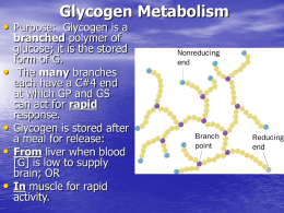 Glycogen Metabolism - http://www.utm.edu