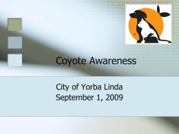 City of Brea - Yorba Linda, California