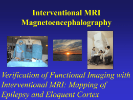 MEG & Integration of Multiple Imaging Technologies