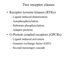 Receptor mechanisms - Georgia Institute of Technology