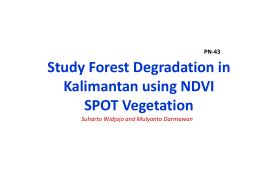 PN-43 Study Forest Degradation in Kalimantan using NDVI