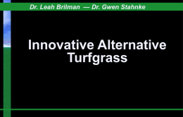 Turfgrass Alternatives - Seed Research of Oregon