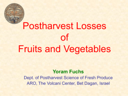 Postharvest Losses of Fruits and Vegetables