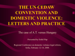 THE UN CEDAW CONVENTION AND DOMESTIC VIOLENCE