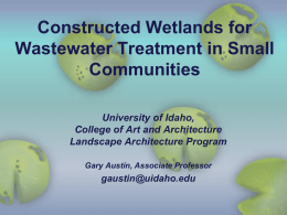 Advances in Constructed Wetlands for Water Treatment