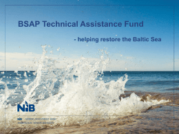 BSAP Technical Assistance Fund