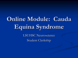 Cauda Equina Syndrome - LSU School of Medicine