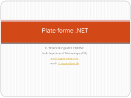 Plate-forme .NET