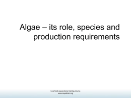 Algae – its role, species and production requirements