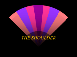 THE SHOULDER