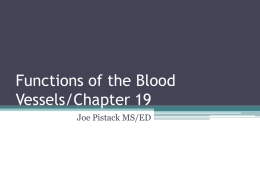 Functions of the Blood Vessels/Chapter 19