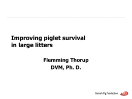 Improving piglet survival in large litters