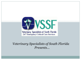 Laryngeal Paralysis - Veterinary Specialists of South Florida