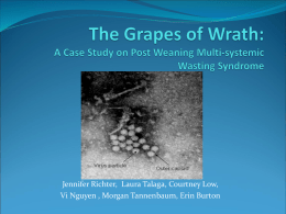 The Grapes of Wrath: A Case Study on Post Weaning Multi