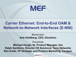 An Overview of the MEF