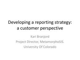Developing a reporting strategy: a customer perspective