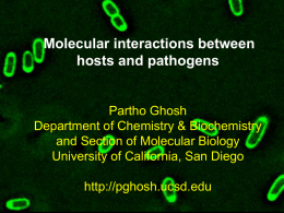 (Pseudomonas' toxin) (PPT 1.8 KB)
