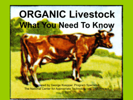 Organic Livestock: What You Need To Know (PPT | 217 KB)