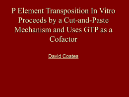 P Element Transposition In Vitro Proceeds by a Cut