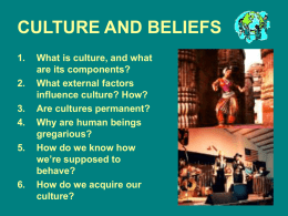CULTURE AND BELIEFS