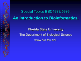 BioInformatics at FSU - whose job is it and why it needs