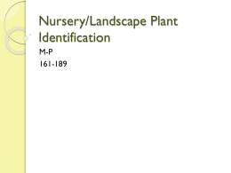 Nursery/Landscape Plant Identification