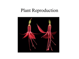 Plant Reproduction - Corner Brook Regional High