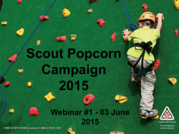 Scout Popcorn Campaign 2015
