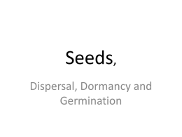 Seeds, - Ms Atkinson's Leaving Certificate Page