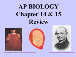 Chapter 12 Review - Baldwinsville Central School District