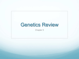 Genetics Review - Hartnell College