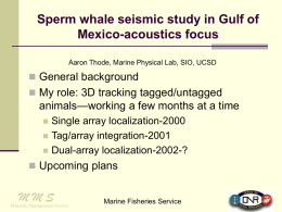 Notes on sperm whale seismic studies in Gulf of Mexico
