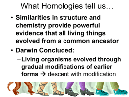 What Homologies tell us…