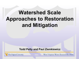 Strategic, Watershed Scale Mitigation