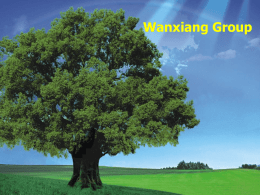 Welcome to Wanxiang Group