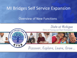 MI Bridges Self Service Expansion - SOM
