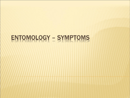 Entomology - Symptoms - Modesto Junior College