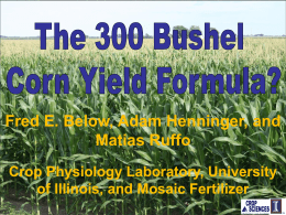 300 Bushel Corn Yield Formula Fred Below